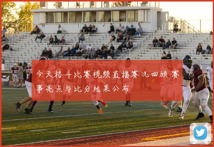 今天格斗比赛视频直播赛况回顾 赛事亮点与比分结果公布