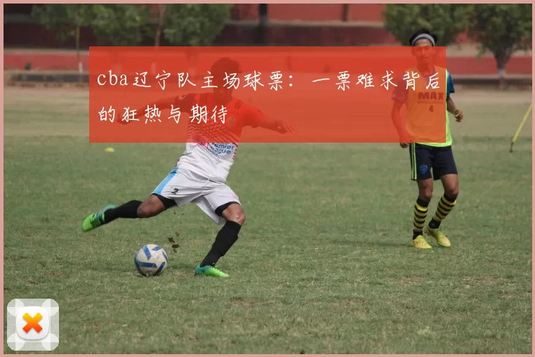 cba辽宁队主场球票：一票难求背后的狂热与期待