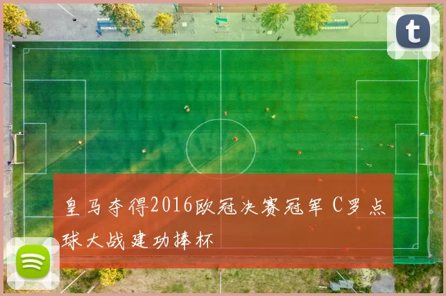 皇马夺得2016欧冠决赛冠军 C罗点球大战建功捧杯