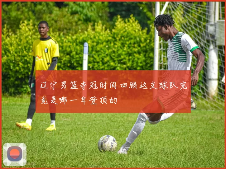 辽宁男篮夺冠时间回顾这支球队究竟是哪一年登顶的