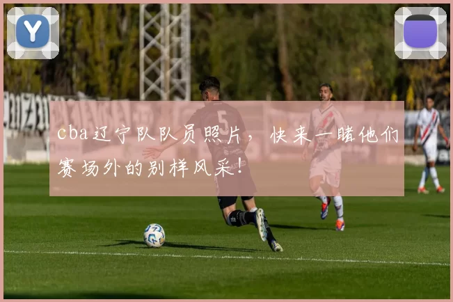 cba辽宁队队员照片,快来一睹他们赛场外的别样风采!