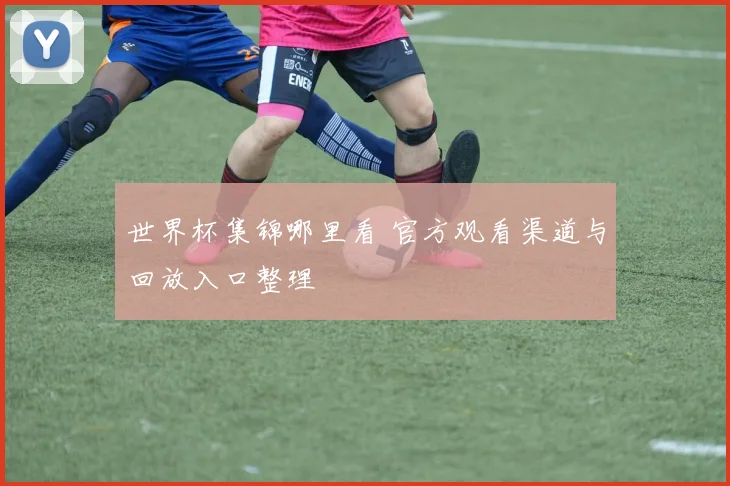 世界杯集锦哪里看 官方观看渠道与回放入口整理