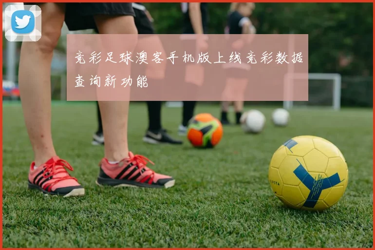 竞彩足球澳客手机版上线竞彩数据查询新功能